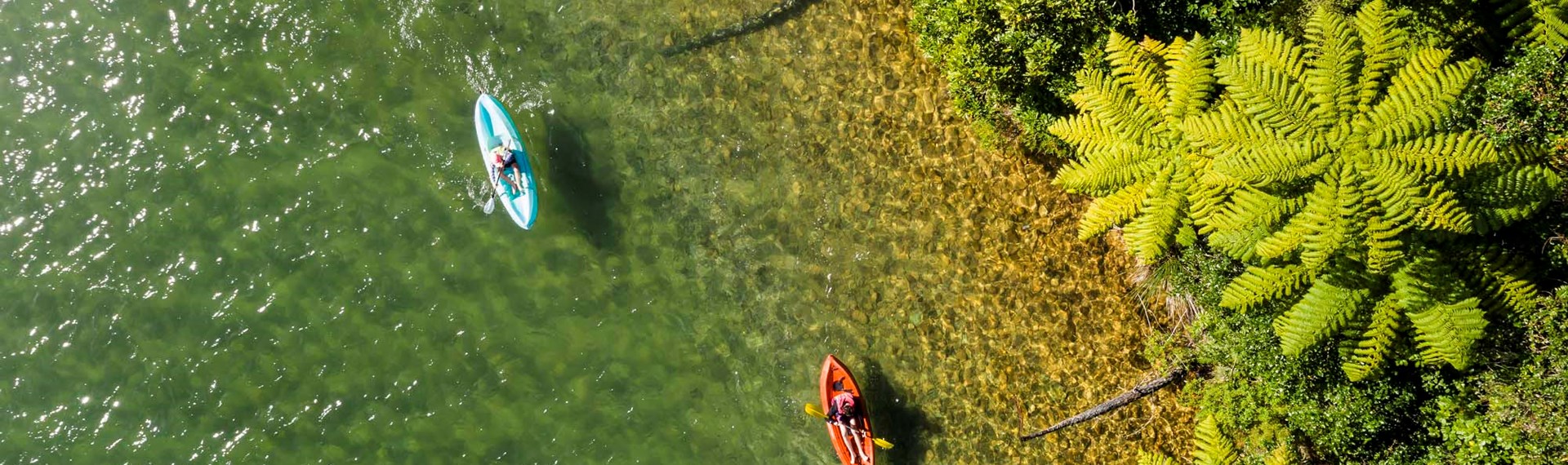 Two kayakers paddle along shoreline in Endeavour Inlet in the Marlborough Sounds in New Zealand's top of the South Island