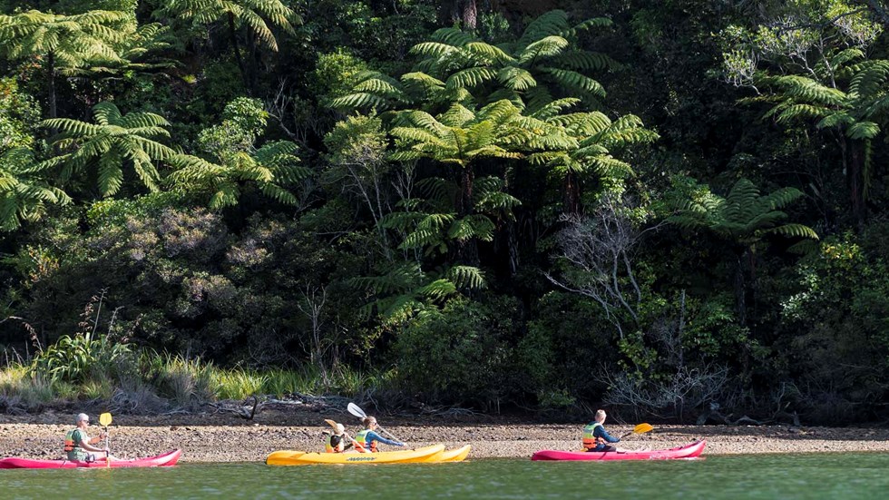 A family of four paddle around the shoreline at Punga Cove in the Marlborough Sounds in New Zealand's top of the South Island