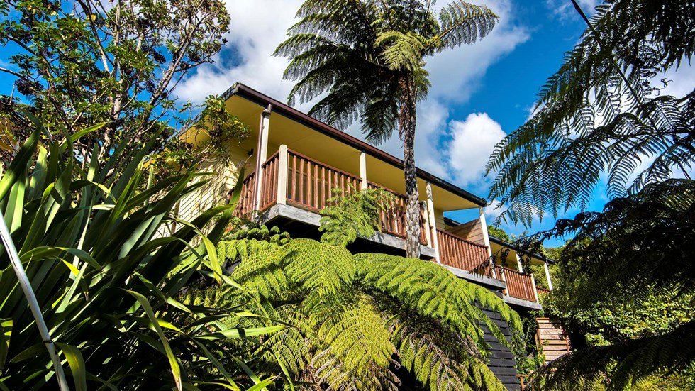 Frond Suite accommodation rooms are surrounded by native bush and have a private balcony to enjoy views of Punga Cove in the Marlborough Sounds in New Zealand's top of the South Island