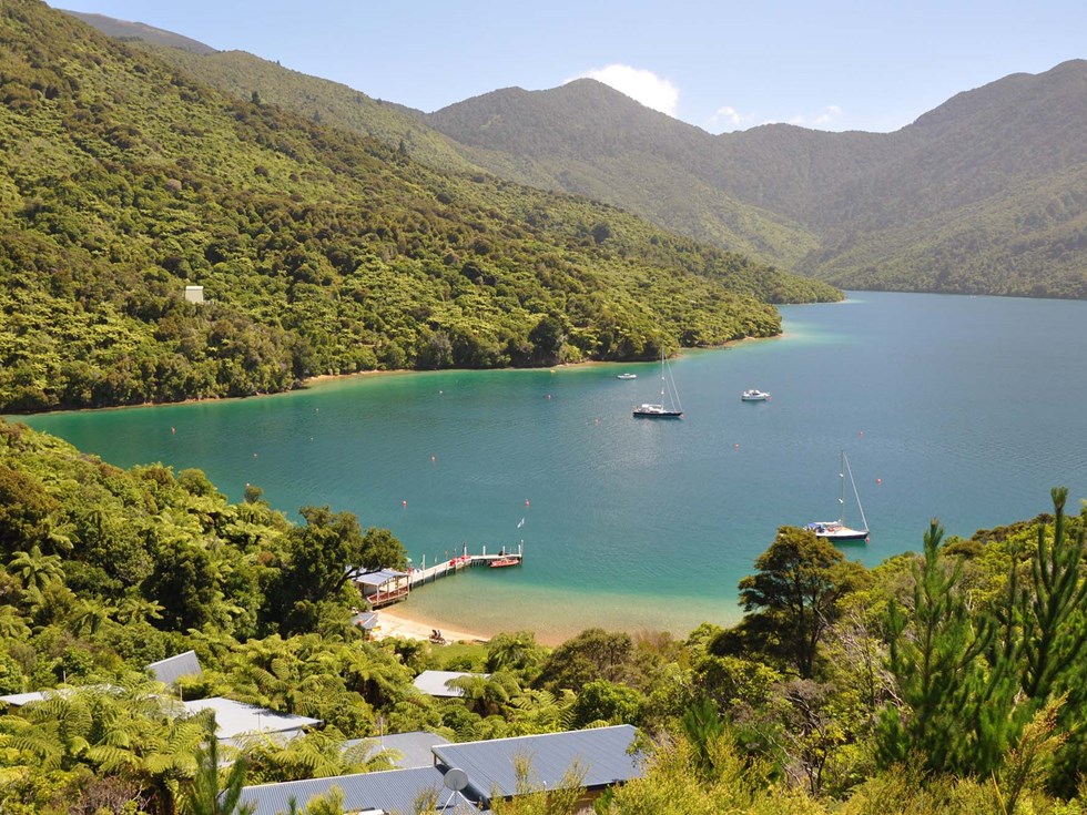 View the Endeavour Inlet bay and scenery from the hill above Punga Cove's accommodation Punga Cove is located in Endeavour Inlet which is one of the may arms in the Marlborough Sounds in New Zealand's top of the South Island