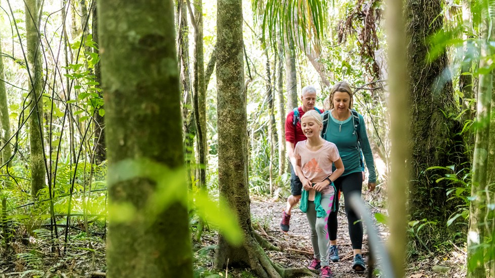 A family of four explore one of the Punga Cove tracks and native bush in the Marlborough Sounds in New Zealand's top of the South Island