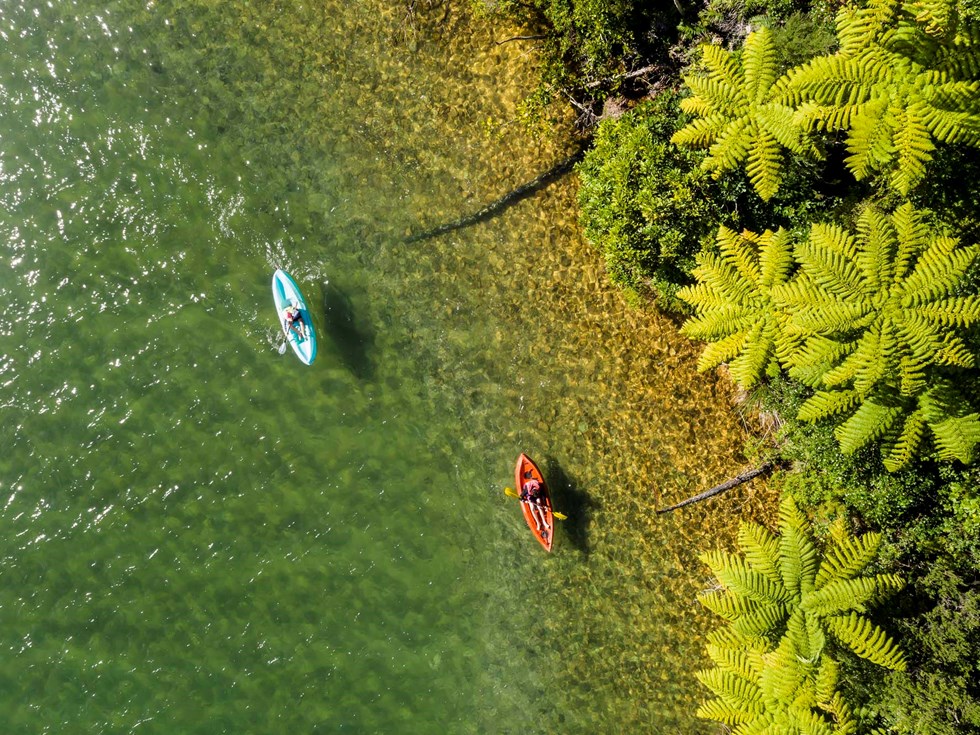 Two kayakers paddle along shoreline in Endeavour Inlet in the Marlborough Sounds in New Zealand's top of the South Island
