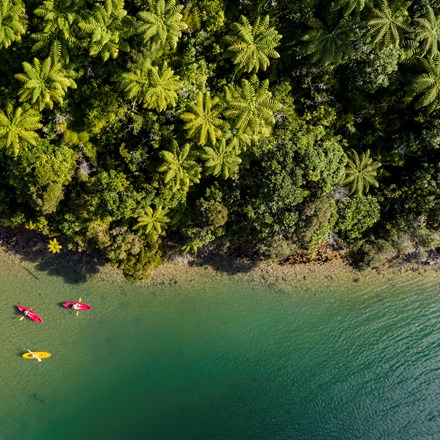 An aerial view of four kayaks exploring the shoreline of Punga Cove in the Marlborough Sounds in New Zealand's top of the South Island