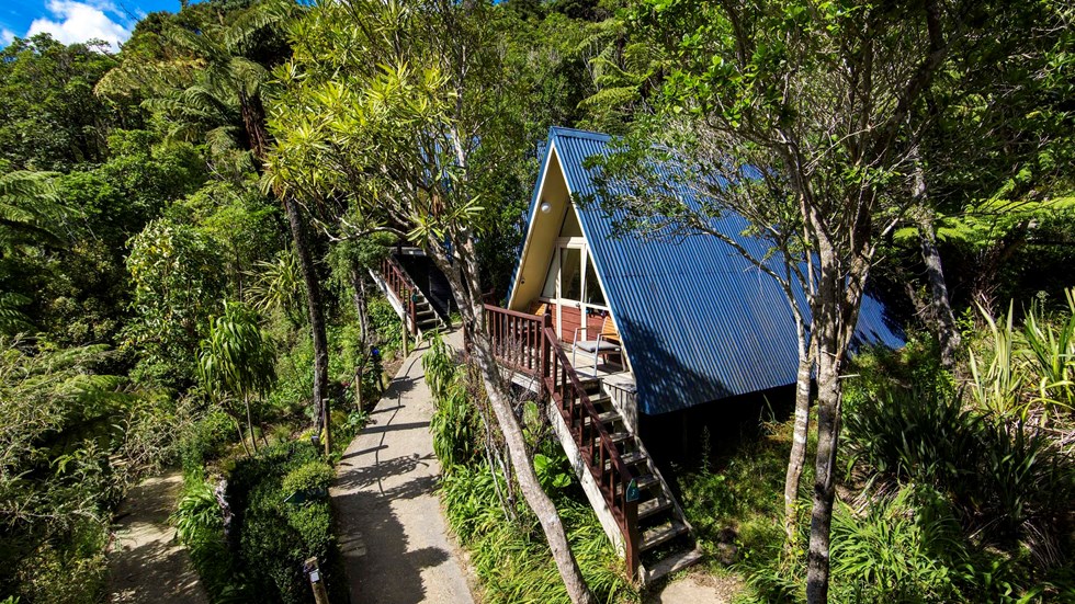 Punga Cove's Koru Chalet accommodation rooms are surrounded by a forest of Punga ferns and other native NZ plants in the Marlborough Sounds in New Zealand's top of the South Island