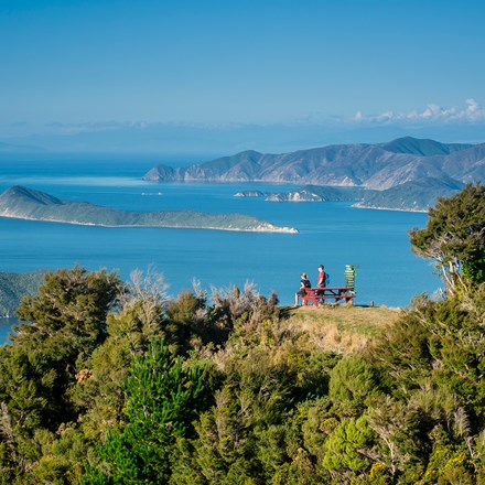 Two walkers admire the Marlborough Sounds view from the top of a hill in New Zealand's top of the South Island
