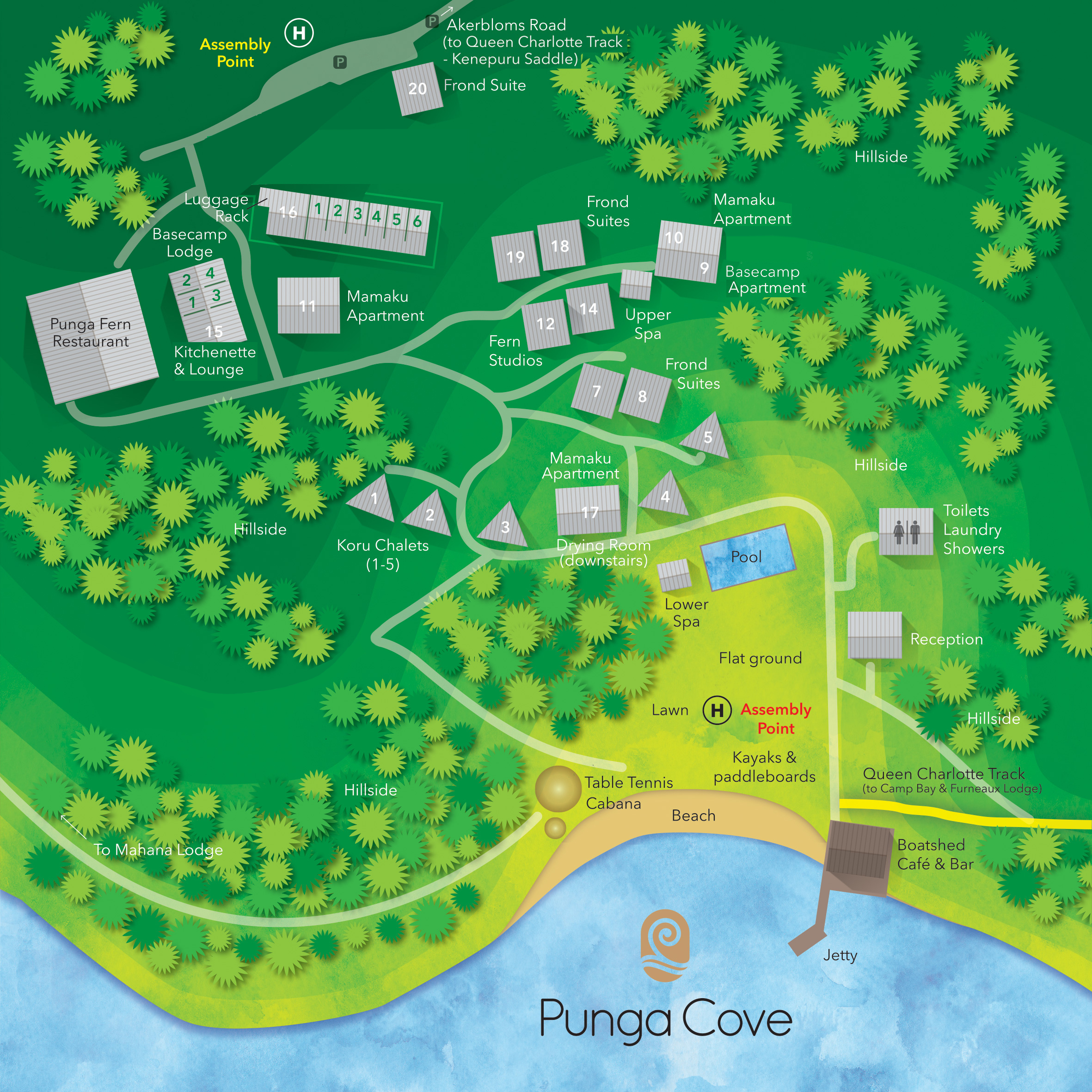 The Punga Cove propety map is a layout of the accommodation rooms and buildings in the Marlborough Sounds in New Zealand's top of the South Island
