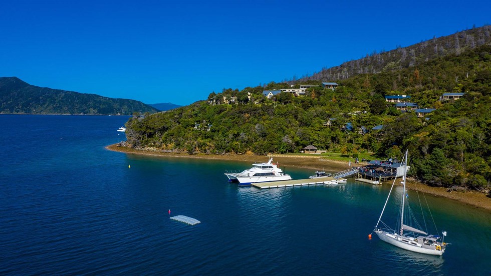 Large commercial vessels like MV Odyssea can park easily at the Punga Cove jetty which is located at the bottom of the accommodation propertyin the Marlborough Sounds in New Zealand's top of the South Island