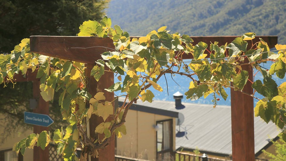 An entrance to the Basecamp accommodation rooms at Punga Cove is surrounded by vines in the Marlborough Sounds in New Zealand
