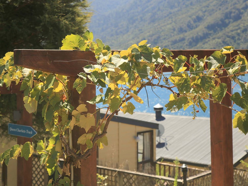An entrance to the Basecamp accommodation rooms at Punga Cove is surrounded by vines in the Marlborough Sounds in New Zealand