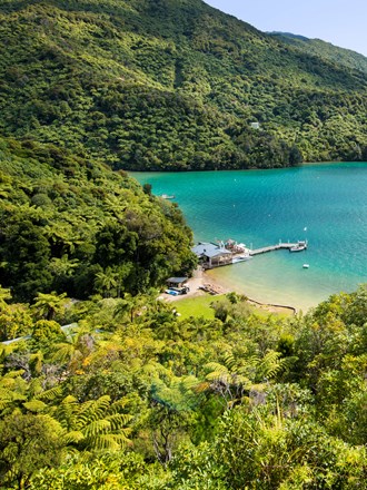 Scenic views are breathtaking at the top of Punga Cove and overlook Endeavour Inlet in the Marlborough Sounds in New Zealand's top of the South Island