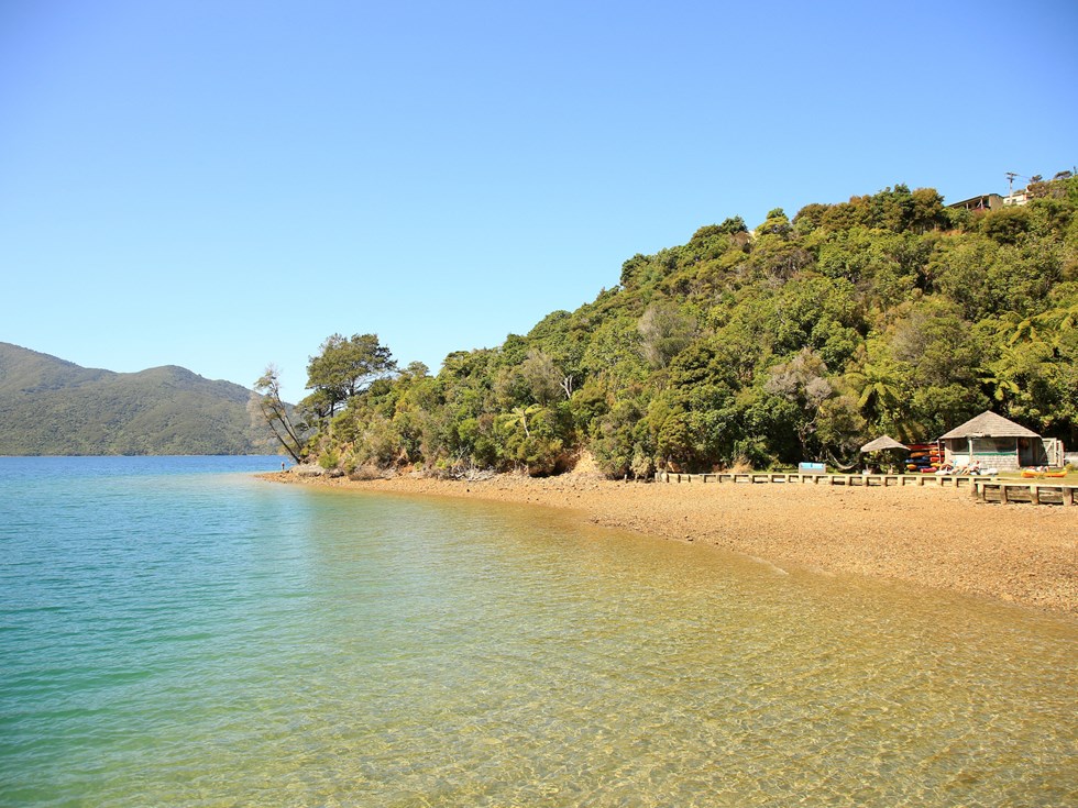 The beach at Punga Cove is a wonderful place to hang out on a summer's day in Endeavour Inlet in the Marlborough Sounds in New Zealand's top of the South Island